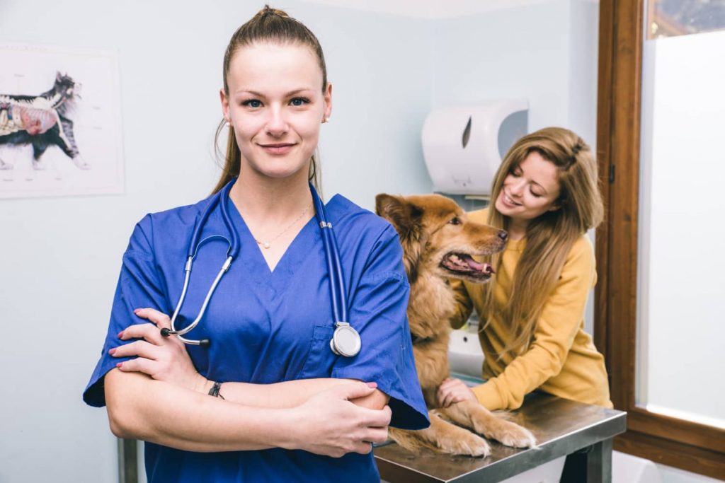 Fomentar las relaciones sociales en la clínica veterinaria y su importancia