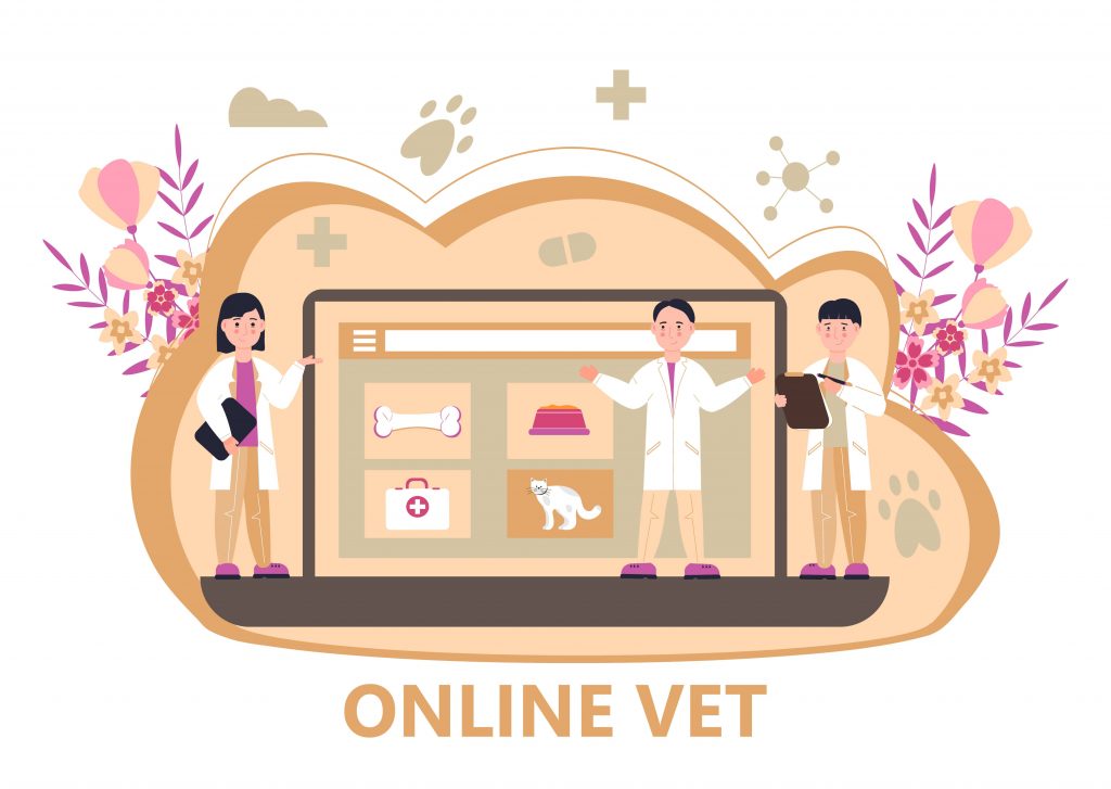 Ideas de marketing para tu centro veterinario de cara a agosto