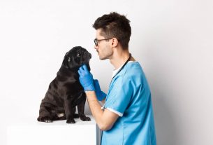 Impacto de la eutanasia en la salud mental de los veterinarios