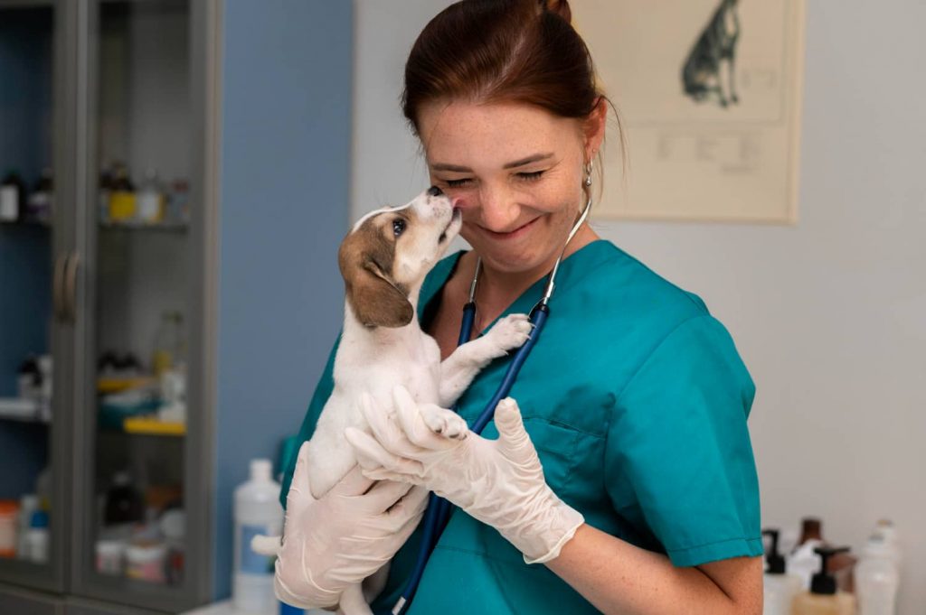 Cómo incrementar la visibilidad online en clínicas veterinarias