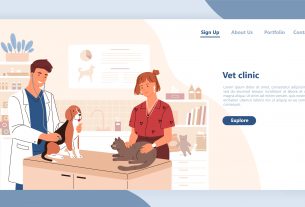Pasos básicos para hacer la página web de tu veterinaria