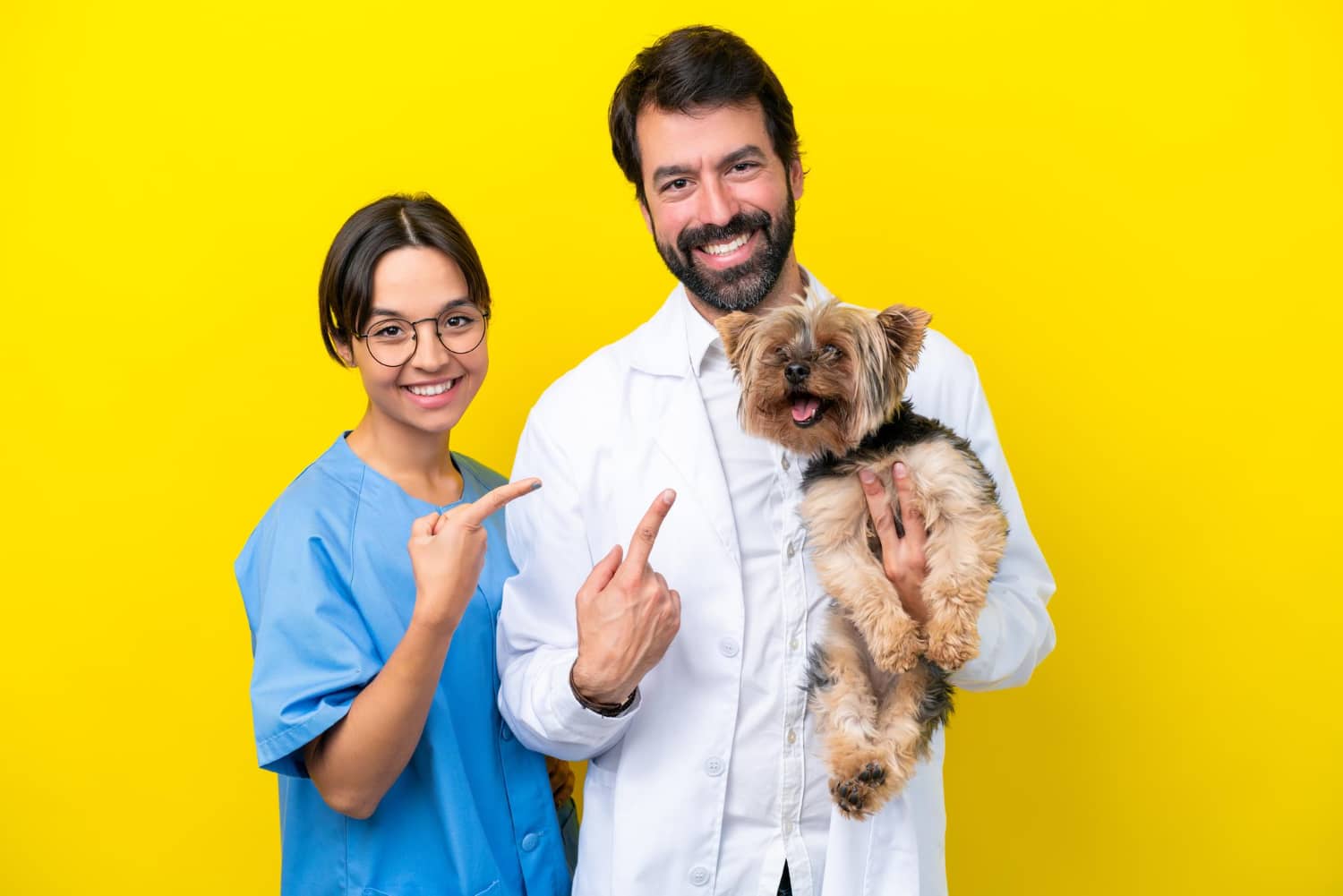 Cómo compartir casos de éxito de tu clínica veterinaria