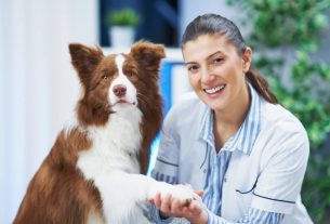 Beneficios de compartir casos de éxito en tu veterinaria