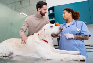 Cómo recompensar la fidelidad de tus clientes en veterinaria: estrategias efectivas
