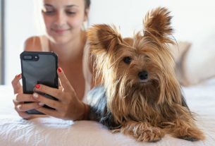 Cómo marcar objetivos para la estrategia de redes sociales de tu veterinaria