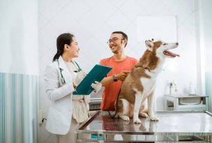 Cómo mejorar la atención al cliente en veterinaria
