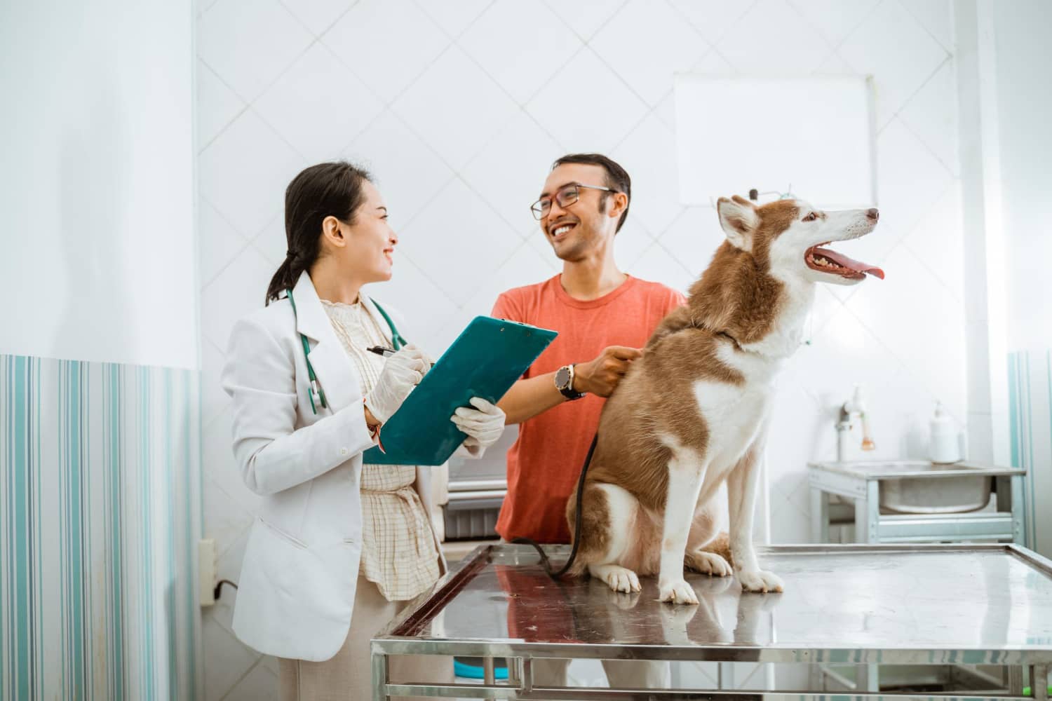 Cómo mejorar la atención al cliente en veterinaria