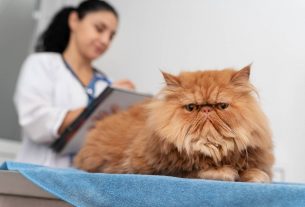 Promociones y descuentos inteligentes para aumentar las ventas en tu clínica veterinaria
