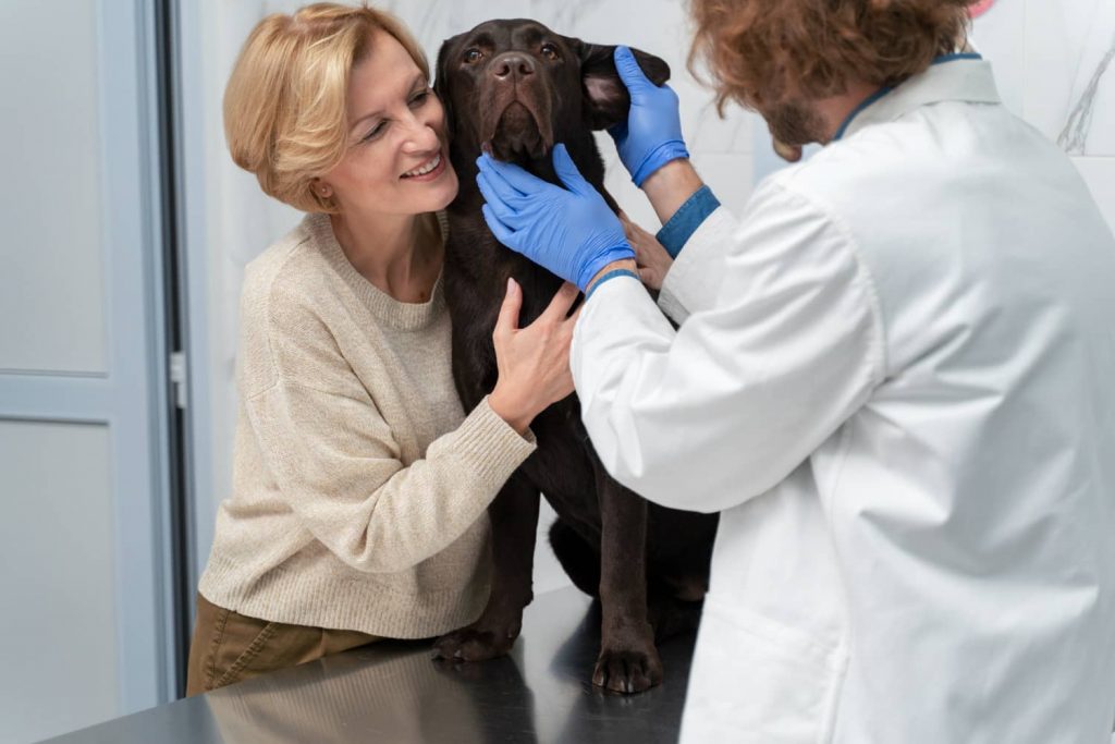 Tips para mejorar la atención al cliente en veterinaria