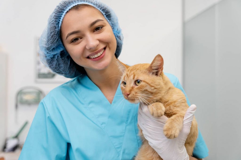 Ventajas de compartir los casos de éxito de tu clínica veterinaria