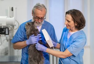 Estrategias de capacitación del personal en la promoción de nuevos servicios veterinarios