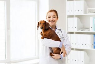 Promoción de servicios veterinarios especializados