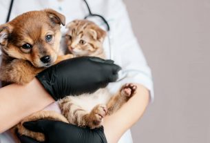 Reputación social corporativa en veterinaria