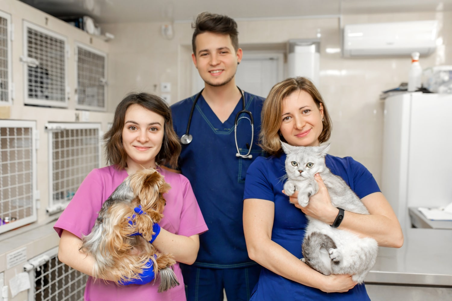 Estrategias para atraer y retener talento veterinario a largo plazo