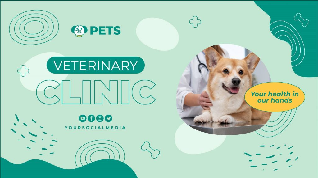 Ejemplos de estrategias de publicidad nativa para atraer clientes a tu clínica veterinaria