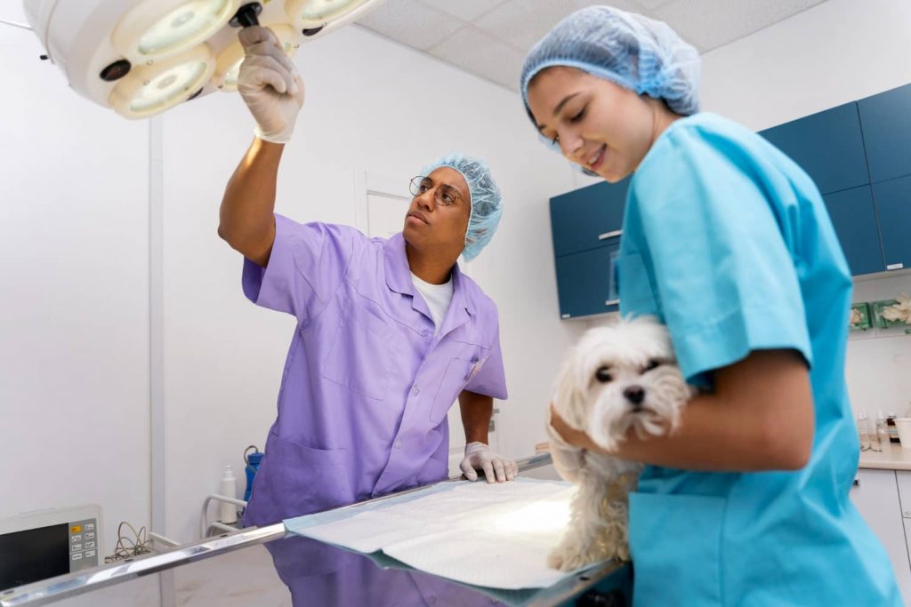 6 errores de comunicación interna en veterinaria más habituales y sus soluciones