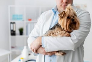 Las cosas que más estresan a los profesionales de la veterinaria