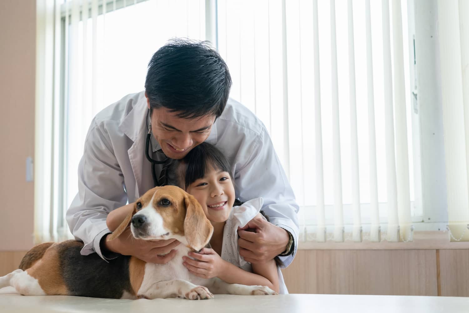 Entorno de trabajo positivo y motivador en la clínica veterinaria