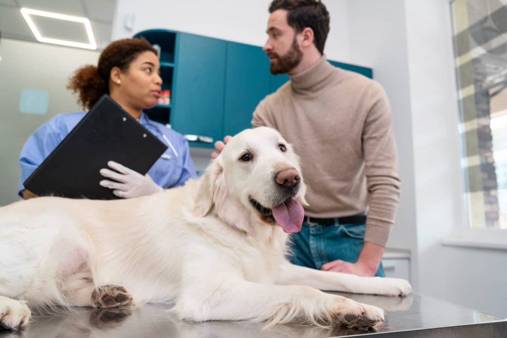 Cosas que más estresan a los profesionales de la veterinaria