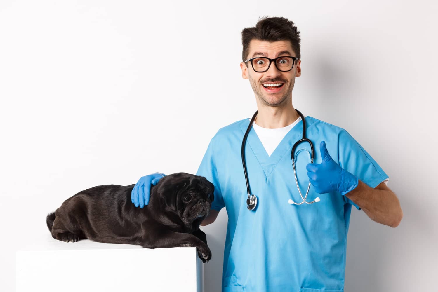 Cómo sentirse útil y productivo en el trabajo veterinario