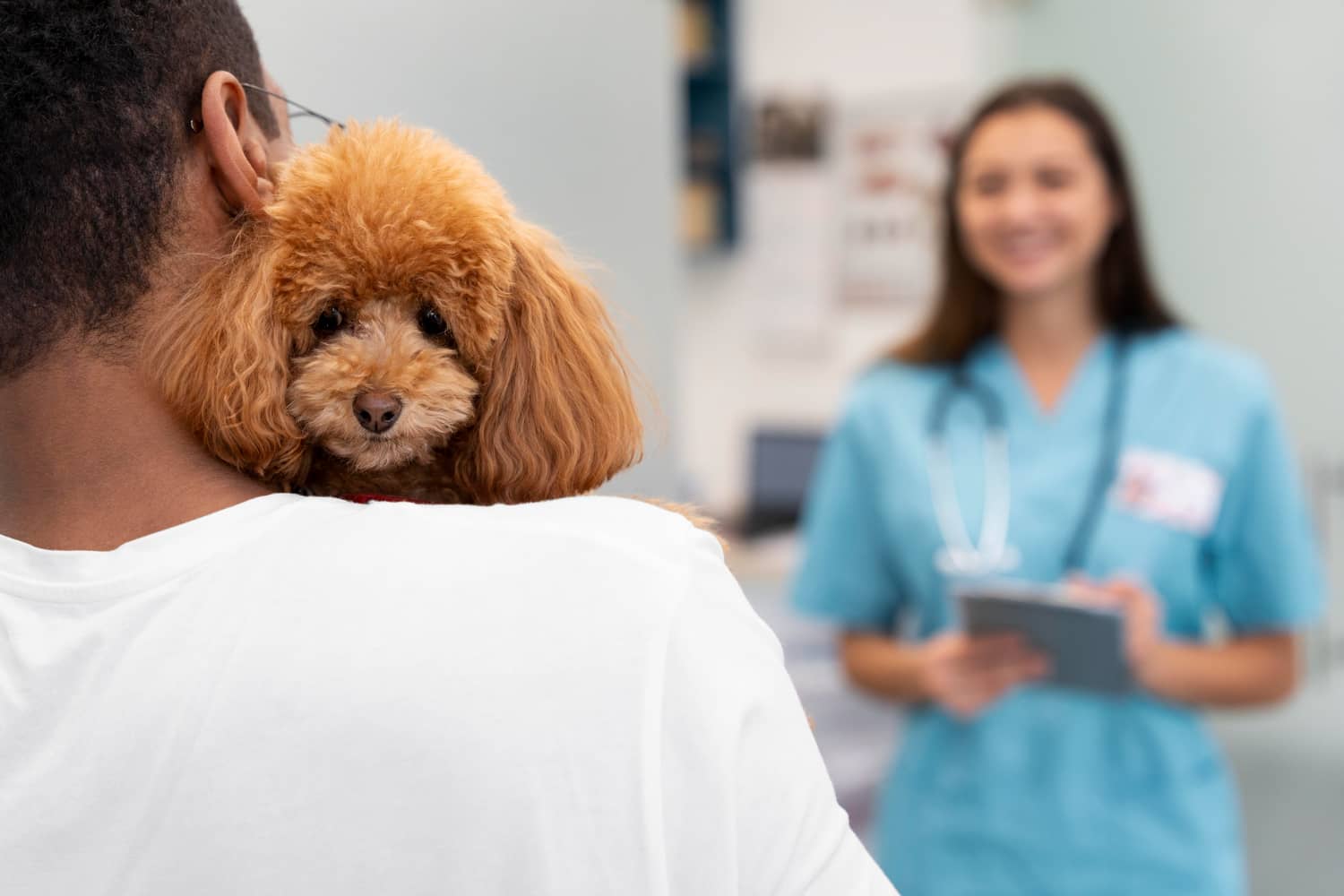 Cómo obtener retroalimentación del cliente para mejorar las ventas en veterinaria