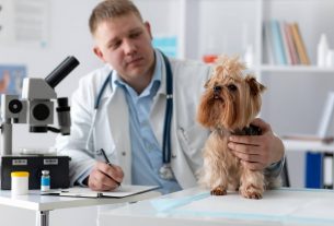 Cómo adaptarse a los cambios en la industria veterinaria