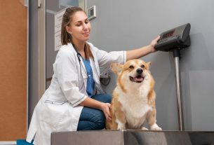 Evaluación de riesgos en la clínica veterinaria