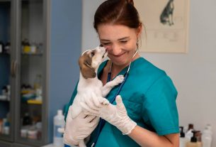 Importancia del descanso en la profesión veterinaria