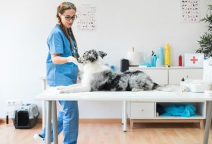 Implementar marketing exitoso para servicios de emergencia en la clínica veterinaria