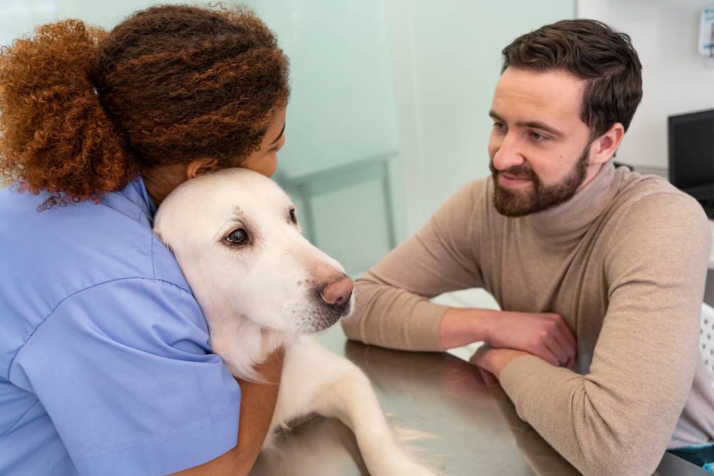 Importancia del valor añadido en veterinaria
