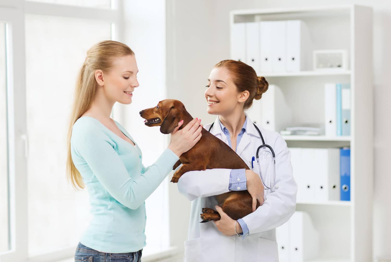Valor añadido en la atención veterinaria: un enfoque esencial para el cuidado de los animales